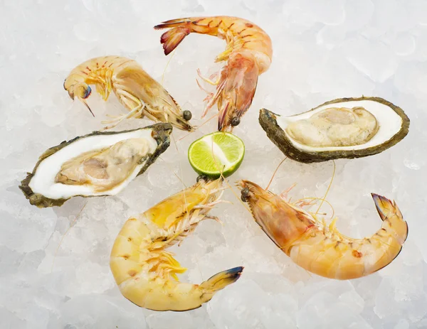 Seafood — Stock Photo, Image