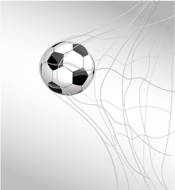 net gol izole futbol topu
