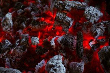 smoulder kömür doku