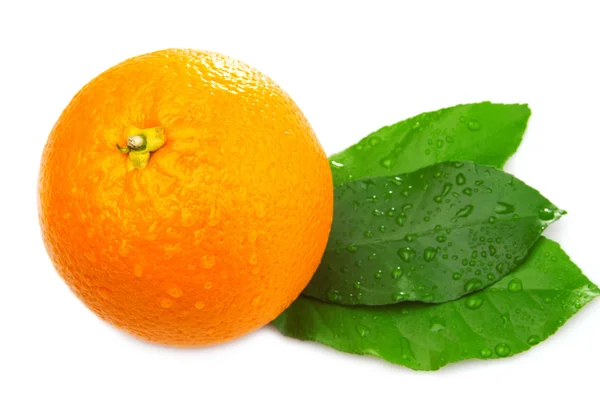 Whole orange with three leaves — Stock Photo, Image