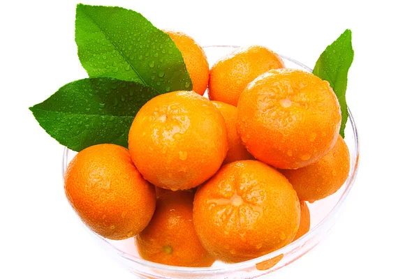 Wet tangerines in a glass bowl — Stock Photo, Image