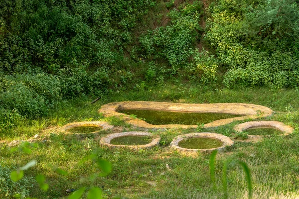 leopard or panther or panthera pardus footprint or paw shaped waterhole for wild animals to quench thirst at jhalana leopard forest reserve jaipur rajasthan india asia