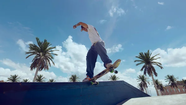 Skateboarder Κάνει Ένα Τέχνασμα Ένα Πάρκο Skate — Φωτογραφία Αρχείου