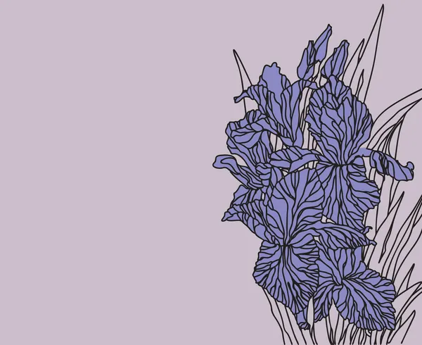Flores narciso e iris, vector de ilustración floral en estilo vintage — Vector de stock
