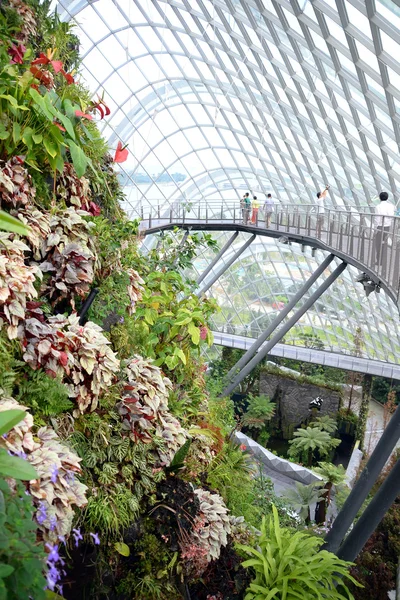 Körfez kenarındaki bahçeler