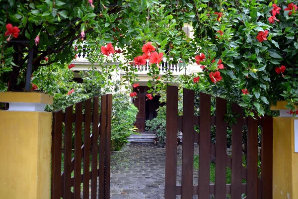 Gate, hibiscus flowers and french colonial architecture in Hoi An Vietnam — Stock Photo, Image