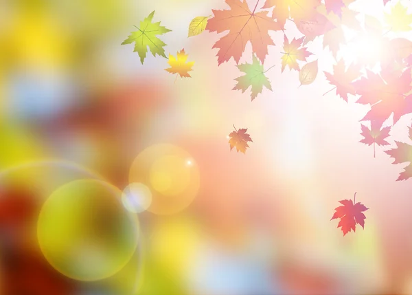 Autumn background — Stock Photo, Image