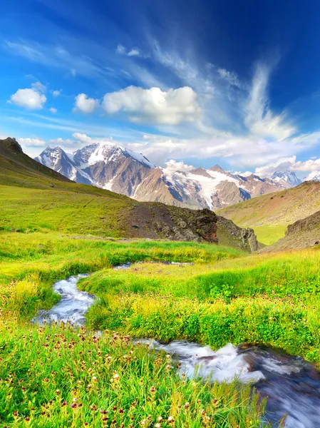 明るい牧草地と山の谷の川。自然の夏の風景 ロイヤリティフリーのストック写真