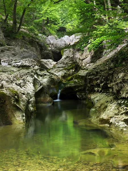 Kamienie i potoku w jasny zielony las. — Zdjęcie stockowe