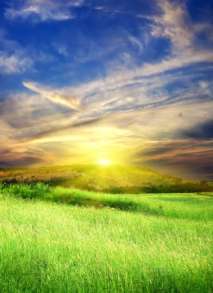 Pôr do sol no prado verde . — Fotografia de Stock