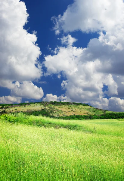 yeşil alan ve geniş gökyüzü bulutlu.