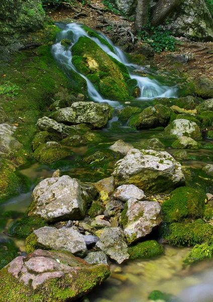 Şelale — Stok fotoğraf