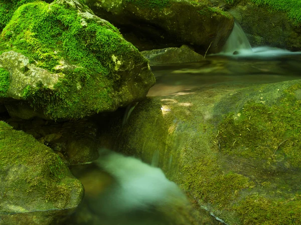 Cascata — Fotografia de Stock