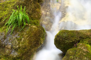 ormanda taş akışı