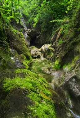 ormanda taş akışı