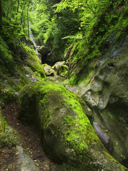 Ruisseau de pierre dans les bois — Photo