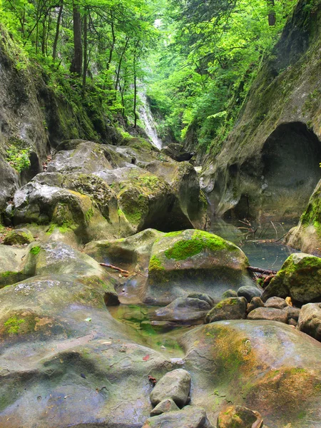 Ruisseau de pierre dans les bois — Photo