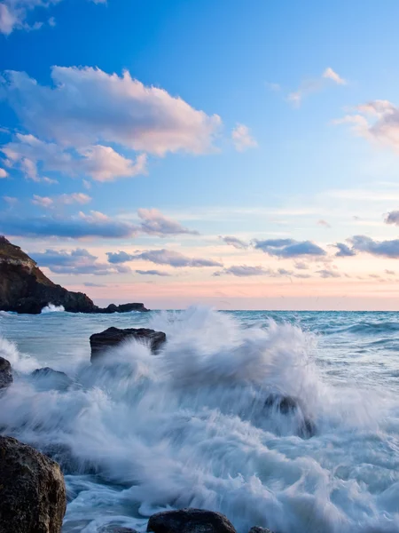 Fal morskich na kamienistej plaży — Zdjęcie stockowe
