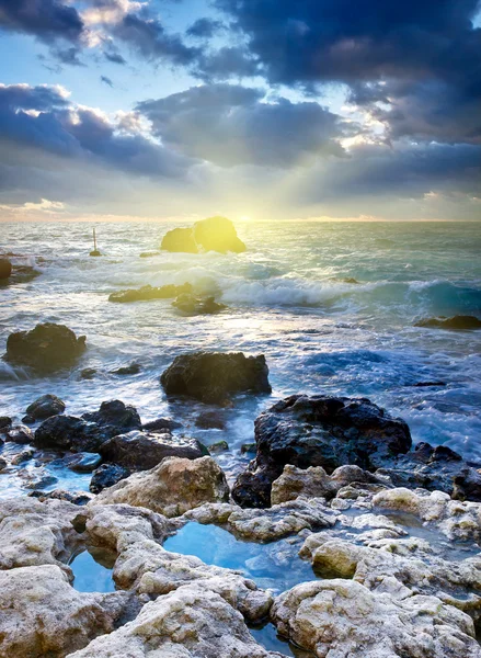 Stones at the seaside in sunset — Stock Photo, Image