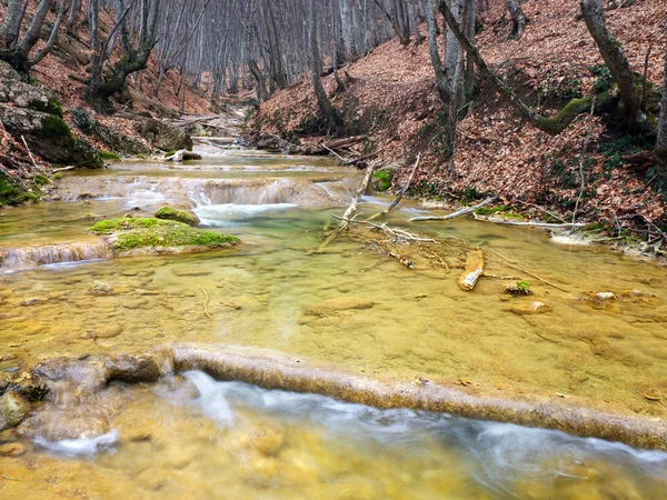 River in wood. — Stock Photo, Image