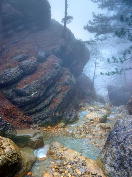 Nehir ve orman içinde taşlar. — Stok fotoğraf