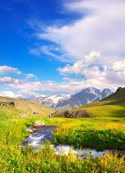 Vackert sommarlandskap. — Stockfoto