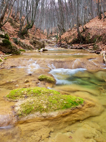 Drewna rzeką wśród kamieniu. — Zdjęcie stockowe