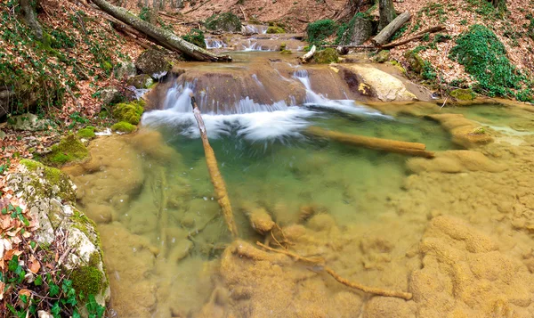 Creek z kamienia wodospad i żółty. — Zdjęcie stockowe