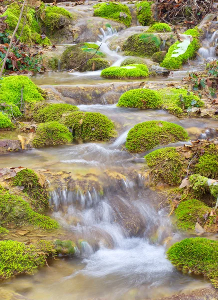 Rapido ruscello tra pietra ed erbe . — Foto Stock