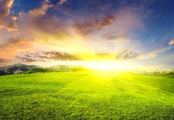 Glow sun on green meadow. — Stock Photo, Image