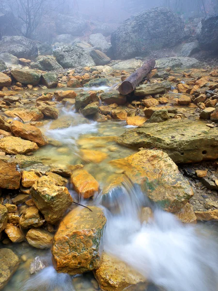 Transparent water in river — Stock Photo, Image