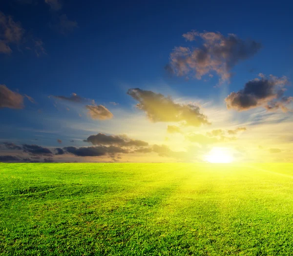 Green meadow during sundown — Stock Photo, Image