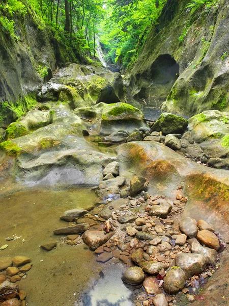 Torrente e pietra gialla . — Foto Stock