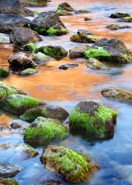 Pietre con alghe sulla spiaggia . — Foto Stock