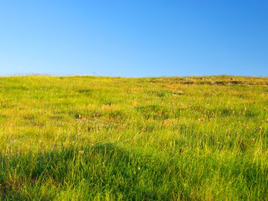 yeşil alan ve gökyüzü