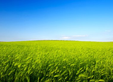 parlak yeşil tepe ve mavi gökyüzü.