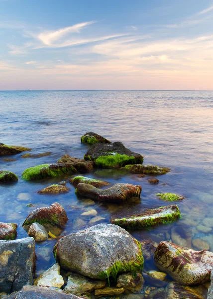 Stenen met algen op de kust. — Stockfoto
