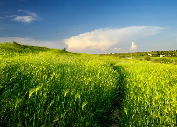 Brillante colina verde y cielo azul . — Foto de Stock