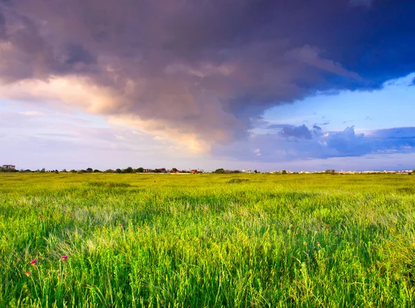 Rainy sky over the field — Stock Photo, Image