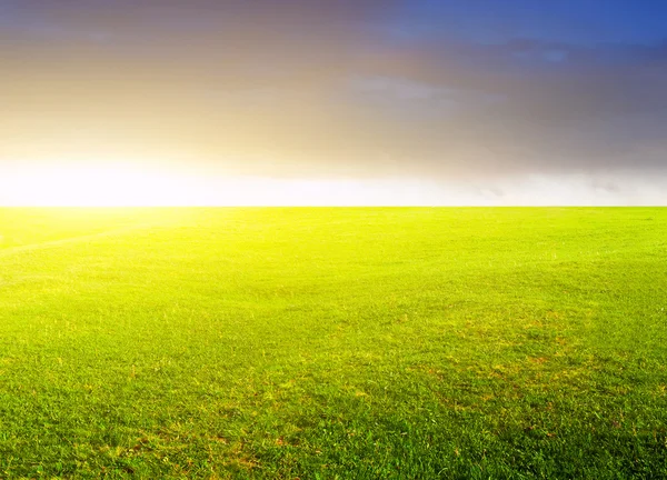 Glow sun on green meadow. — Stock Photo, Image