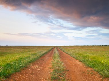 yeşil çayır yolda