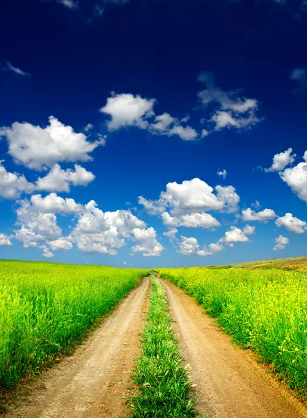 Camino entre prado verde — Foto de Stock