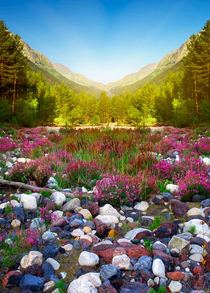 Vallée de montagne avec pierre de couleur — Photo