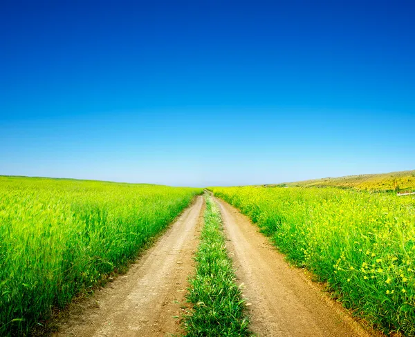 Road amongst green meadow — Stock Photo, Image