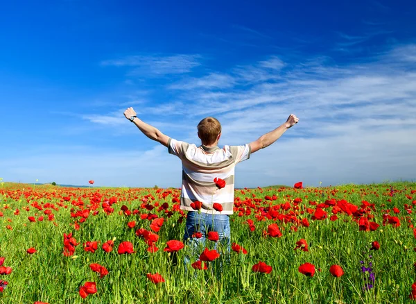 Hombre en el campo con flor de amapola Fotos De Stock Sin Royalties Gratis