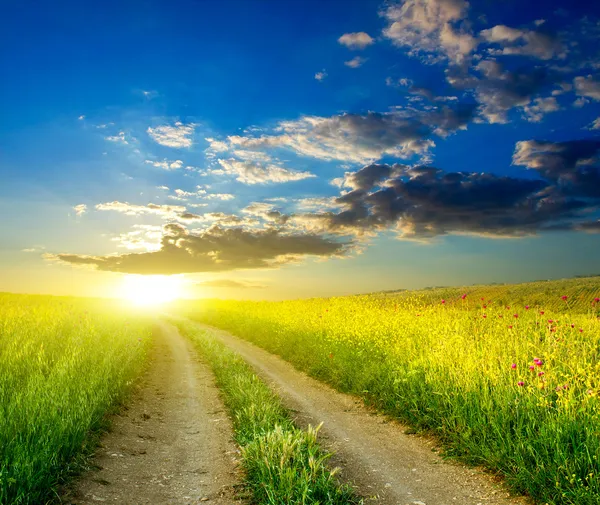 緑の牧草地および明るい空の中の道 — ストック写真