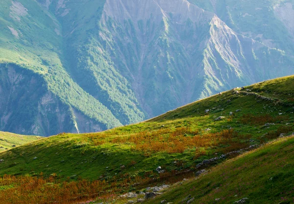 Pré lumineux en montagne . — Photo