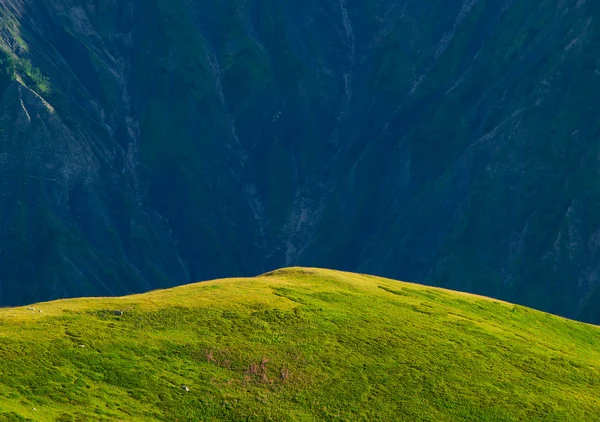 Jasne łąka w górach. — Zdjęcie stockowe
