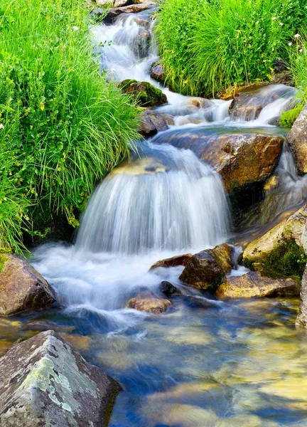 Quick creek amongst stone and herbs. — Stock Photo, Image