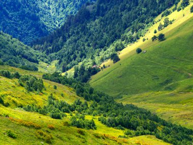 Dağ'ın parlak çayırda.
